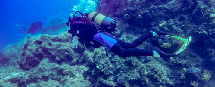 Tüplü Dalış (Scuba Diving) ve Discovery Dalış Hakkında Herşey